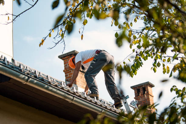 Best Residential Roofing Contractor  in Chevy Chase View, MD