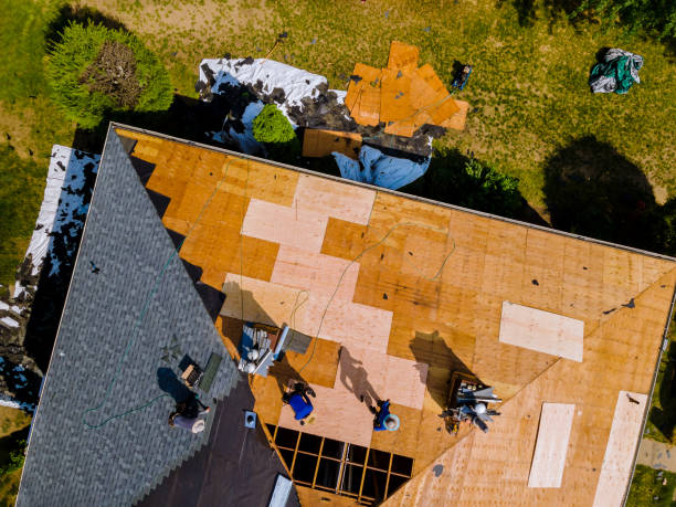 Best Emergency Roof Repair  in Chevy Chase View, MD