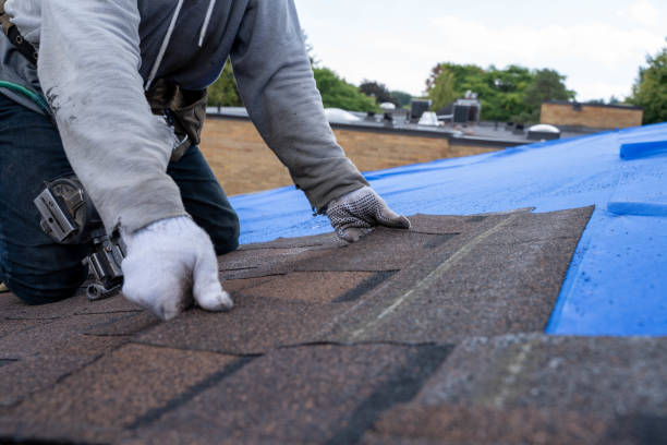 Best Roof Leak Repair  in Chevy Chase View, MD