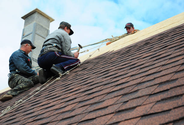 Best Flat Roof Repair Services  in Chevy Chase View, MD