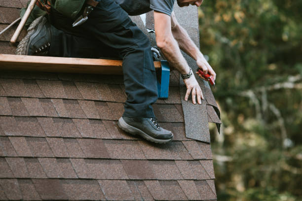 Roof Waterproofing Services in Chevy Chase View, MD
